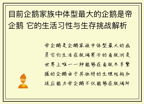 目前企鹅家族中体型最大的企鹅是帝企鹅 它的生活习性与生存挑战解析